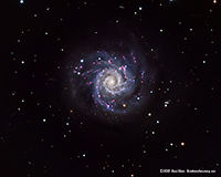M 74 Phantom Galaxy